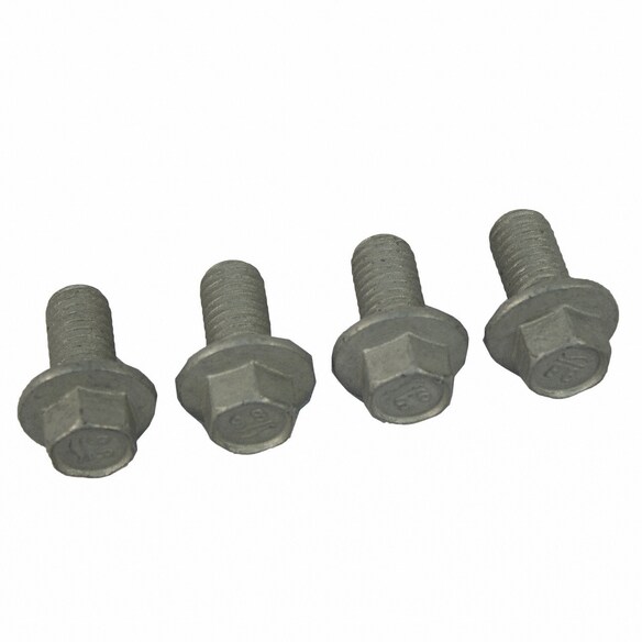 Hex Head Bolt - M8 X 1.25 16 Main Image