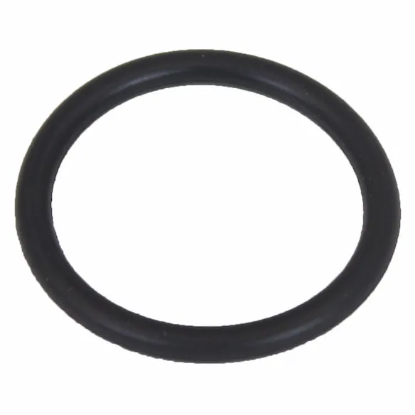 Engine Oil Dipstick Tube O Ring. Engine Oil Pump Pickup Tube O Ring. Main Image