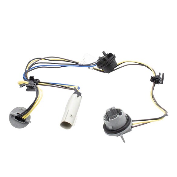 Tail Light Socket - Rear Main Image