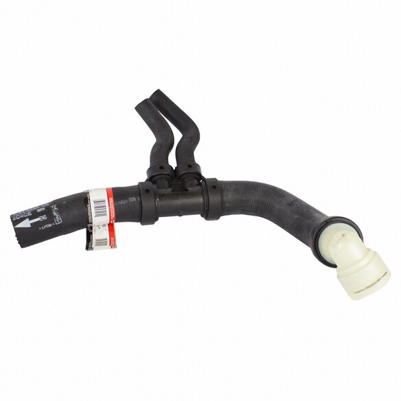 Radiator Coolant Hose - Lower Main Image