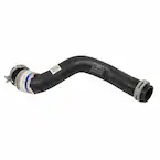 Radiator Coolant Hose - Lower (AT) Main Image
