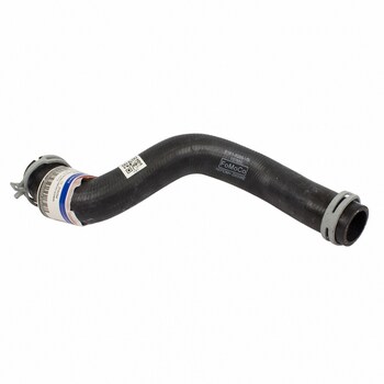 Radiator Coolant Hose - Lower (AT)