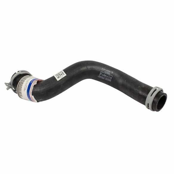 Radiator Coolant Hose - Lower (AT) Main Image