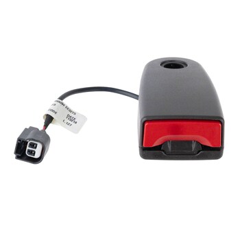 Seat Belt Receptacle - Right, Rear