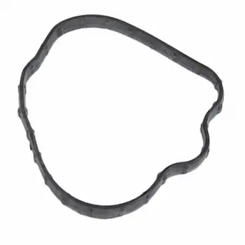 Fuel Pump Gasket