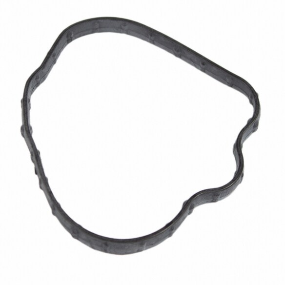 Fuel Pump Gasket Main Image
