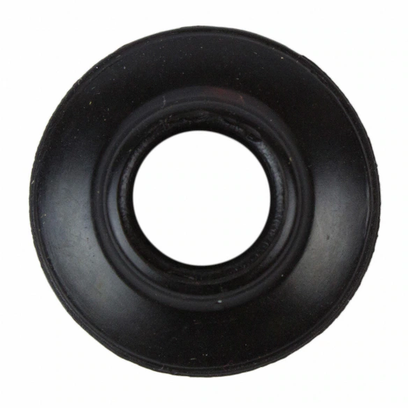 Seal - Rear, Back Main Image