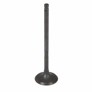 Engine Exhaust Valve - 30MM