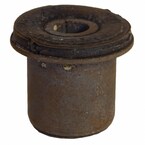 Leaf Spring Bushing - Rear (SVT) Main Image
