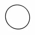 Engine Water Pump Gasket - Front 6.0L Main Image