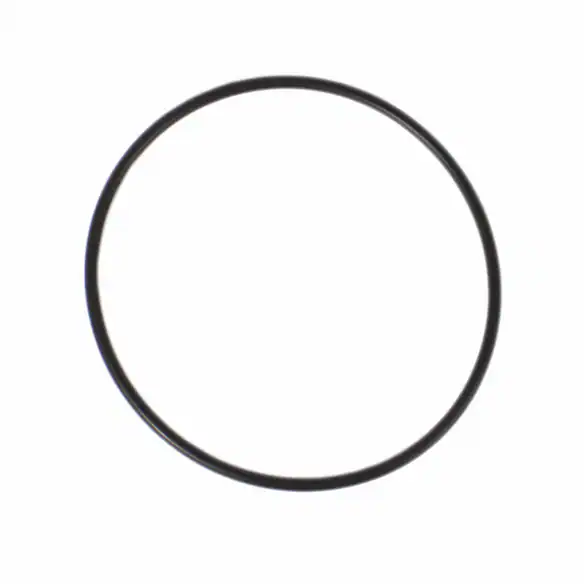 Engine Water Pump Gasket - Front 6.0L Main Image