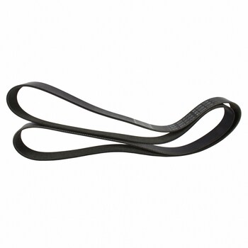 Serpentine Belt - 5.4L (GT)