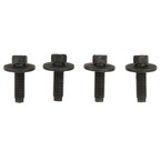 Grille Screw and Washer - Front Main Image