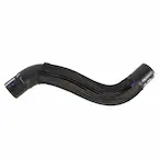 Radiator Coolant Hose - Lower (EcoBoost) Main Image