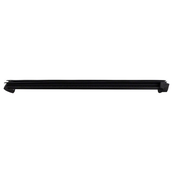 Door Window Belt Weatherstrip Molding Wstrip - Left, Rear Main Image