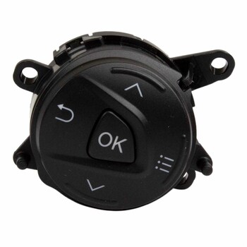 Cruise Control Switch - Left, Upper