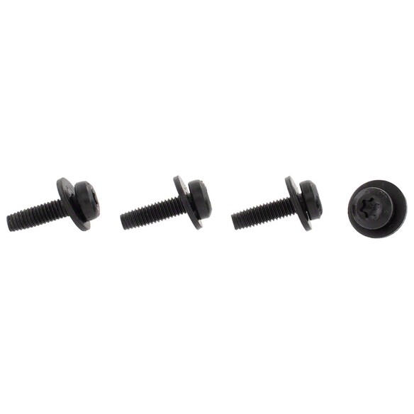 Screw and Washer Main Image