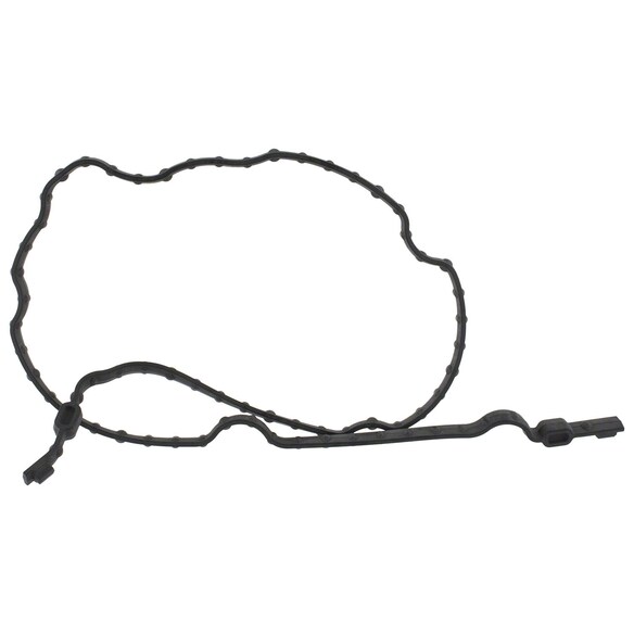 Engine Timing Cover Gasket - Center 5.0L Main Image