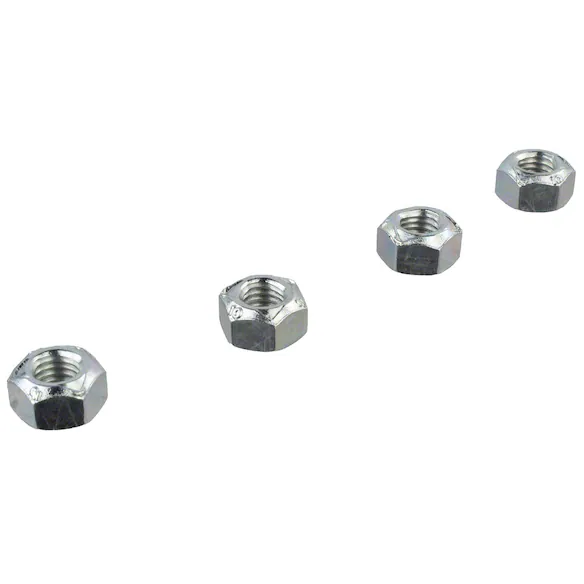 609096.jpg