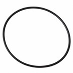 Sealing Ring. Drive Axle Shaft Flange Gasket - Rear. Main Image