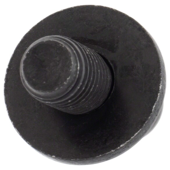 482098.jpg