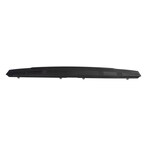 Tailgate Molding Main Image