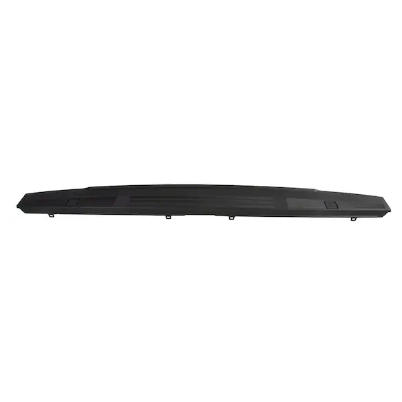 Tailgate Molding Main Image
