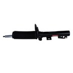 Suspension Shock Absorber - Bus (M2), Front Main Image