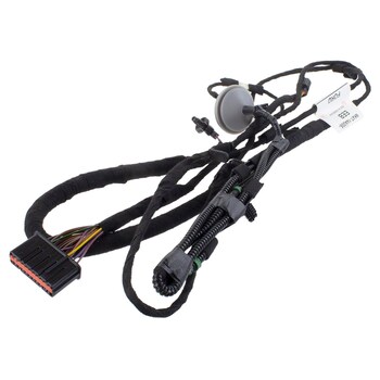 Wiring - Right, Rear