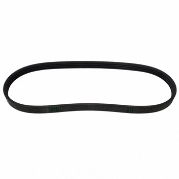 Serpentine Belt