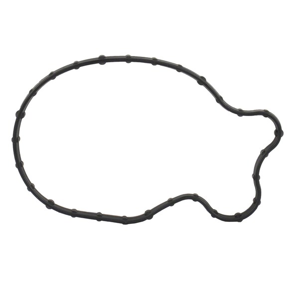 Fuel Pump Tank Seal Gasket Main Image