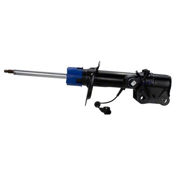 Suspension Strut - Right, Front