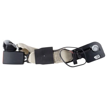 Belt and Buckle - Left, Rear