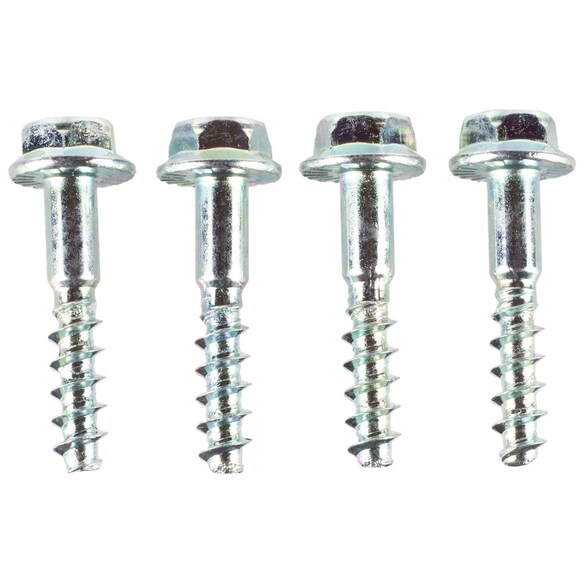 Screw Main Image
