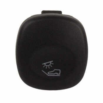 Courtesy Light Switch