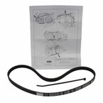 Serpentine Belt - 3.7L Main Image