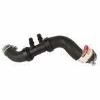Radiator Coolant Hose - Lower 5.0L Main Image