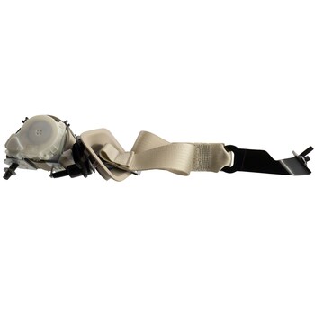 Seat Belt Lap and Shoulder - Right, Rear