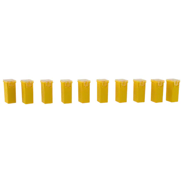 495109.jpg