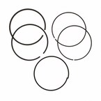 Piston Ring Kit From 11/1/11 - 3.7L Main Image