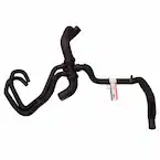 Radiator Coolant Hose - Lower Main Image