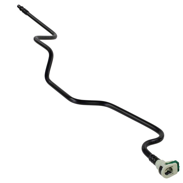 556110.jpg