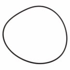 Seal (AT) Main Image