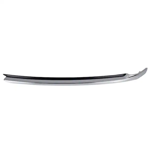 Bumper Trim Molding - Left, Front, Lower (Exterior Appearance) Main Image