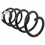 Coil Spring - Left, Right, Front Main Image