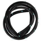 Door Seal Weatherstrip - Right, Rear Main Image