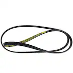 Serpentine Belt - 5.0L Main Image