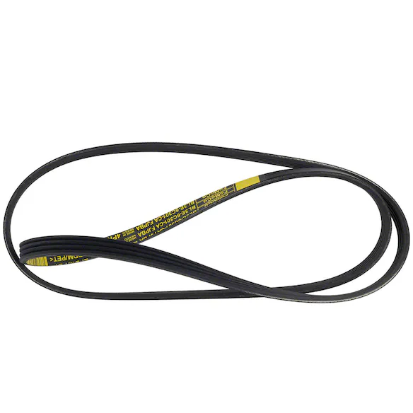Serpentine Belt - 5.0L Main Image