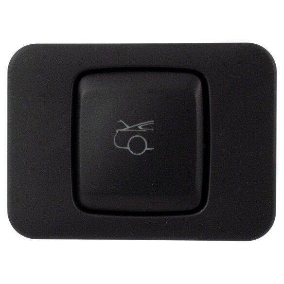 Trunk Lid Release Switch Main Image
