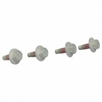 Window Regulator Screw Bolt Main Image
